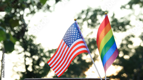 LGBT and USA flags decorated to call out the world to respect gender diversity in pride month, soft and selective focus on the flags. 