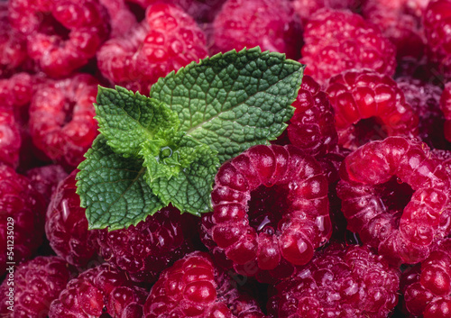 Obraz na płótnie Fresh ripe sweet raspberries and mint. Raspberry closeup w salonie
