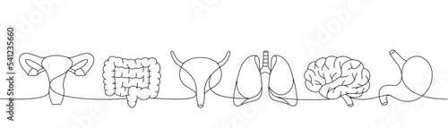 Set of human organs one line continuous drawing. Lungs, brain, stomach, bladder, reproductive system, intestines continuous one line illustration.