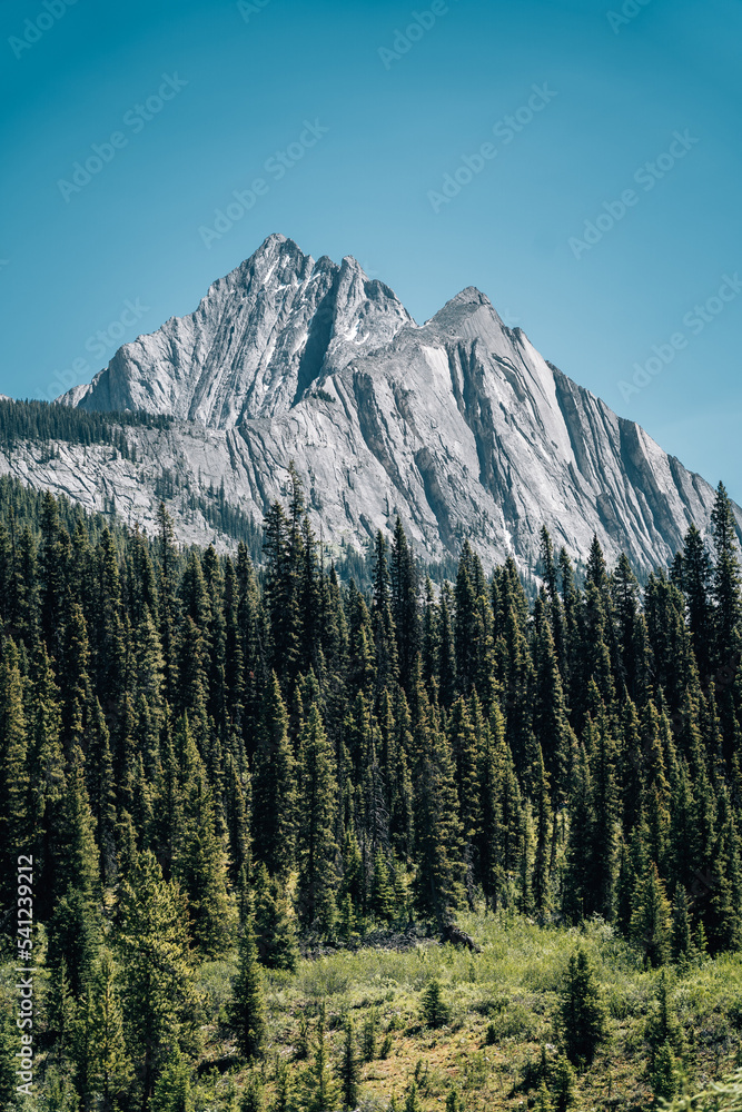 Canadian landscape with blue sky and mountains