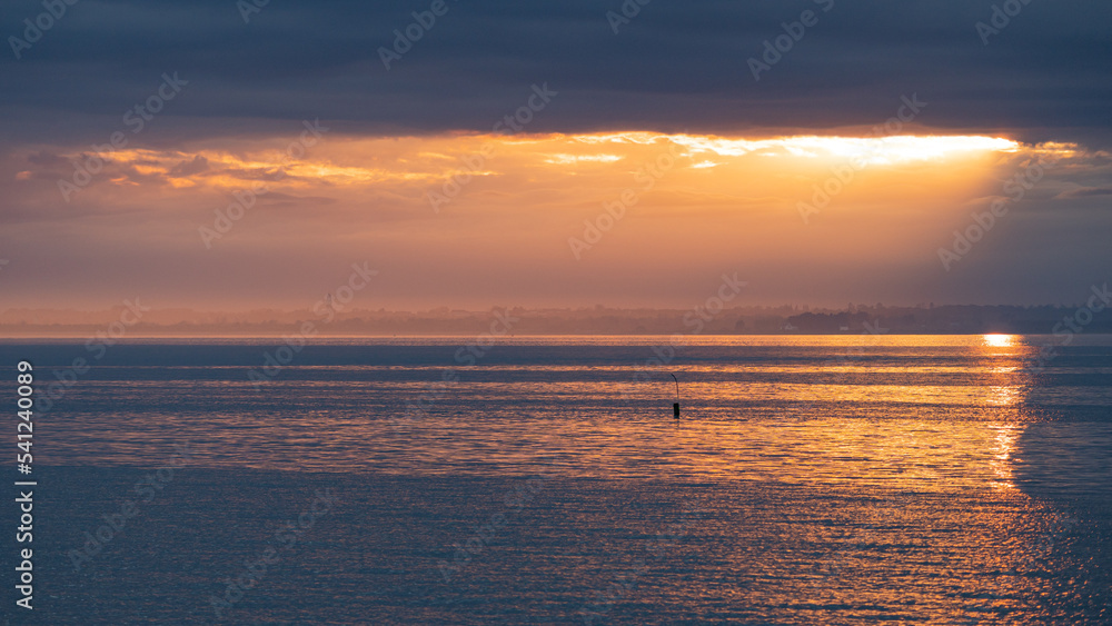 Phoque veau marin, Baie des Veys