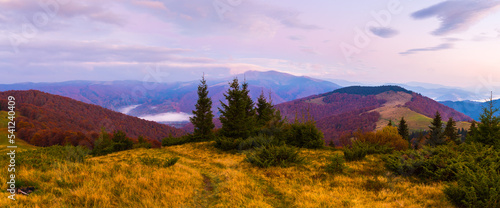 Amazing sunrise in the mountains. Bright autumn colors. Fog in the valley. Carpathians. Ukraine.