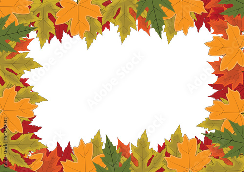 The design card element pattern for the leaf of maple in nature s autumn and Christmas  holiday in winter thanksgiving and celebrate in October of every year.