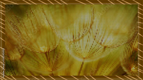 Vector. Inflorescence of dandelions in the rays of the sun. Graphic wallpaper in the form of a picture embroidered with a cross, taken in a frame.