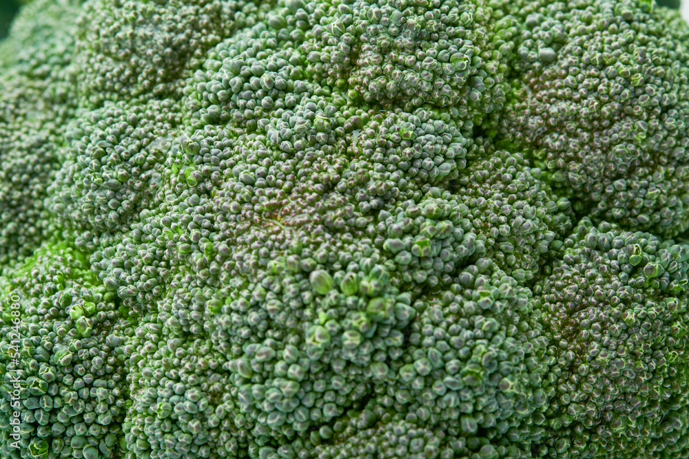 Macro texture of broccoli green. Food background. Colorfu cauliflower. Agricultural harvest. Mock up. Top view.