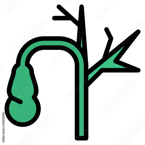 gallbladder human body organ