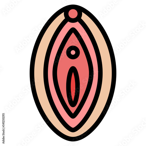 vagina human body organ