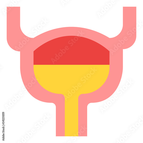 bladder human body organ