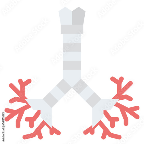 bronchus human body organ
