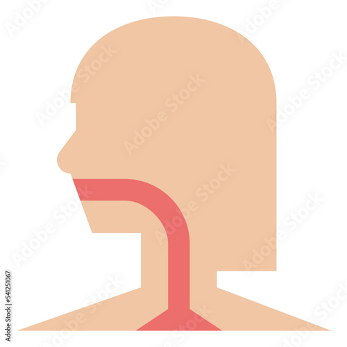 esophagus human body organ