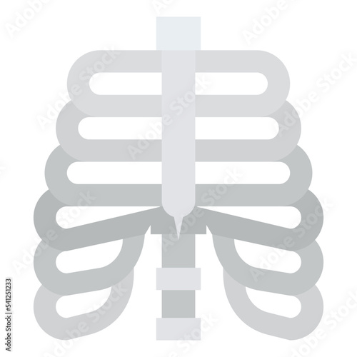 rib human body organ
