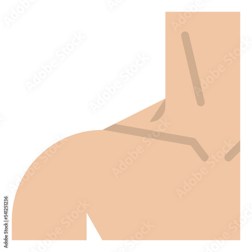 shoulder human body organ