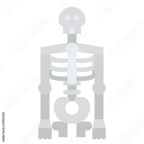 skeleton human body organ