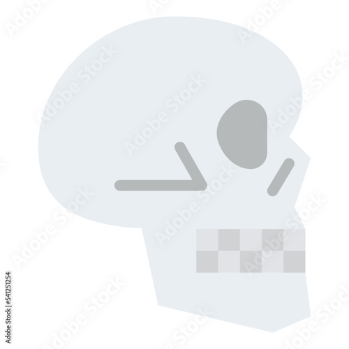 skull human body organ