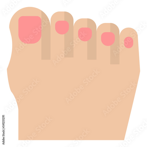 toe human body organ