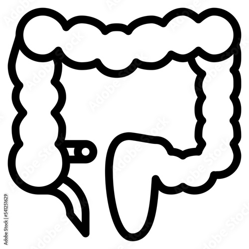 colon human body organ