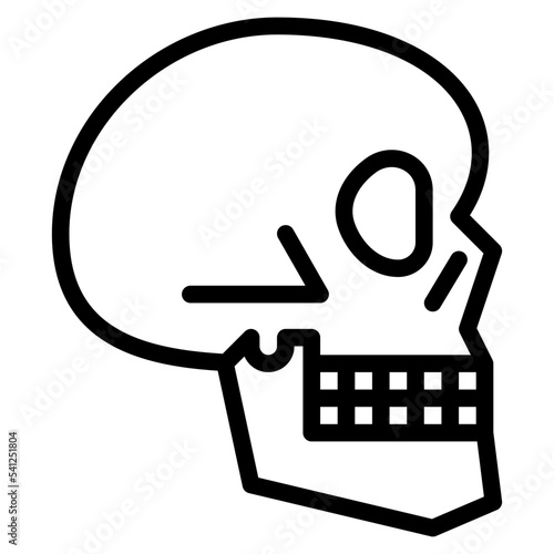 skull human body organ