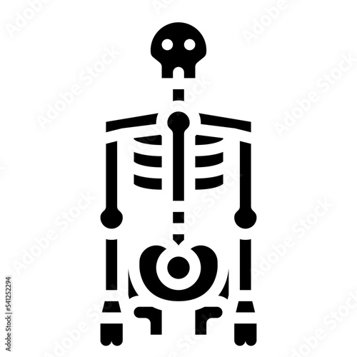 skeleton human body organ