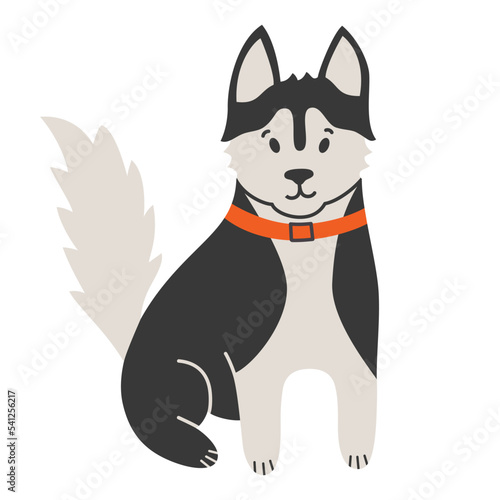 Siberian husky dog, doodle illustration of black and white puppy, cute dog,  vector illustration of domestic animal and pet care, pet shop icon, isolated colored clipart on white background