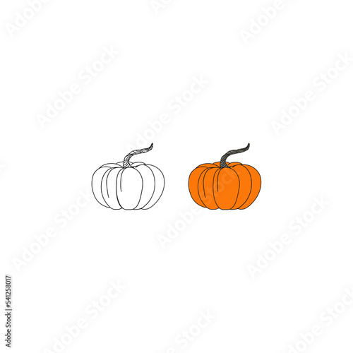 Pumpkin colored drawing flat design isolated on white background.