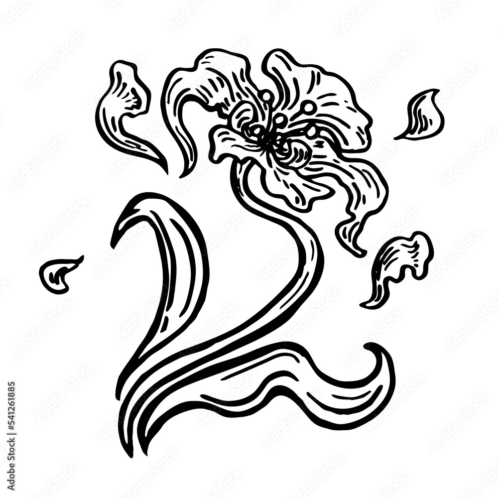 Abstract flower vector illustration on white background