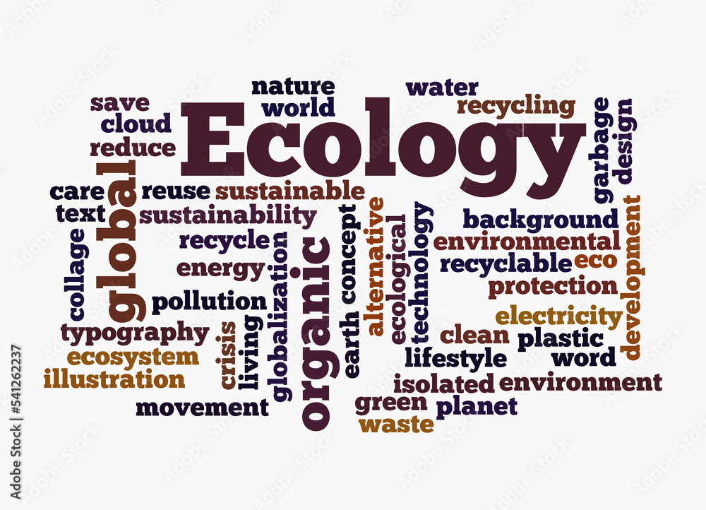 Obraz premium Word Cloud with ECOLOGY concept, isolated on a white background