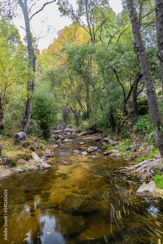 wild water stream in the Sierra de Guadarrama, Madrid,