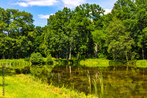 Historic park surrounding XVI century Rozalin Palace with vintage trees and ponds during summer season in Rozalin village in Mazovia region of Poland photo