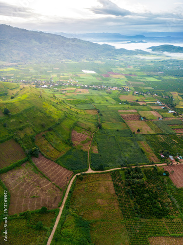 Aerial view of Chu Dang Ya volcano mountain with Da Quy flower or Tithonia diversifolia flower near Pleiku city  Gia Lai province  Vietnam