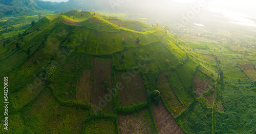 Aerial view of Chu Dang Ya volcano mountain with Da Quy flower or Tithonia diversifolia flower near Pleiku city, Gia Lai province, Vietnam photo