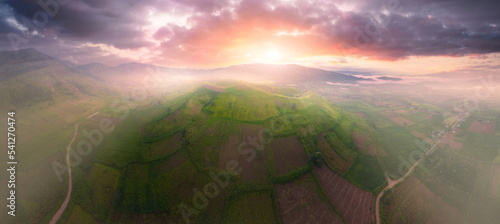 Aerial view of Chu Dang Ya volcano mountain with Da Quy flower or Tithonia diversifolia flower near Pleiku city, Gia Lai province, Vietnam photo