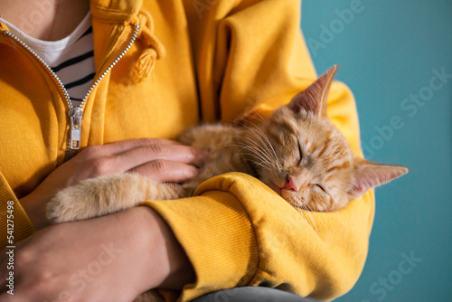 Cute little red kitten lays comfrotably on hands of its owner and is sleeping photo