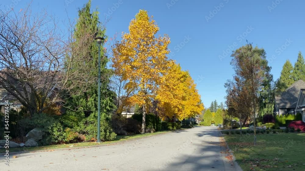 Establishing shot of two story stucco luxury house with garage door, big tree and nice Fall Foliage landscape in Vancouver, Canada, North America. Day time on Sept 2022. ProRes 422 HQ.