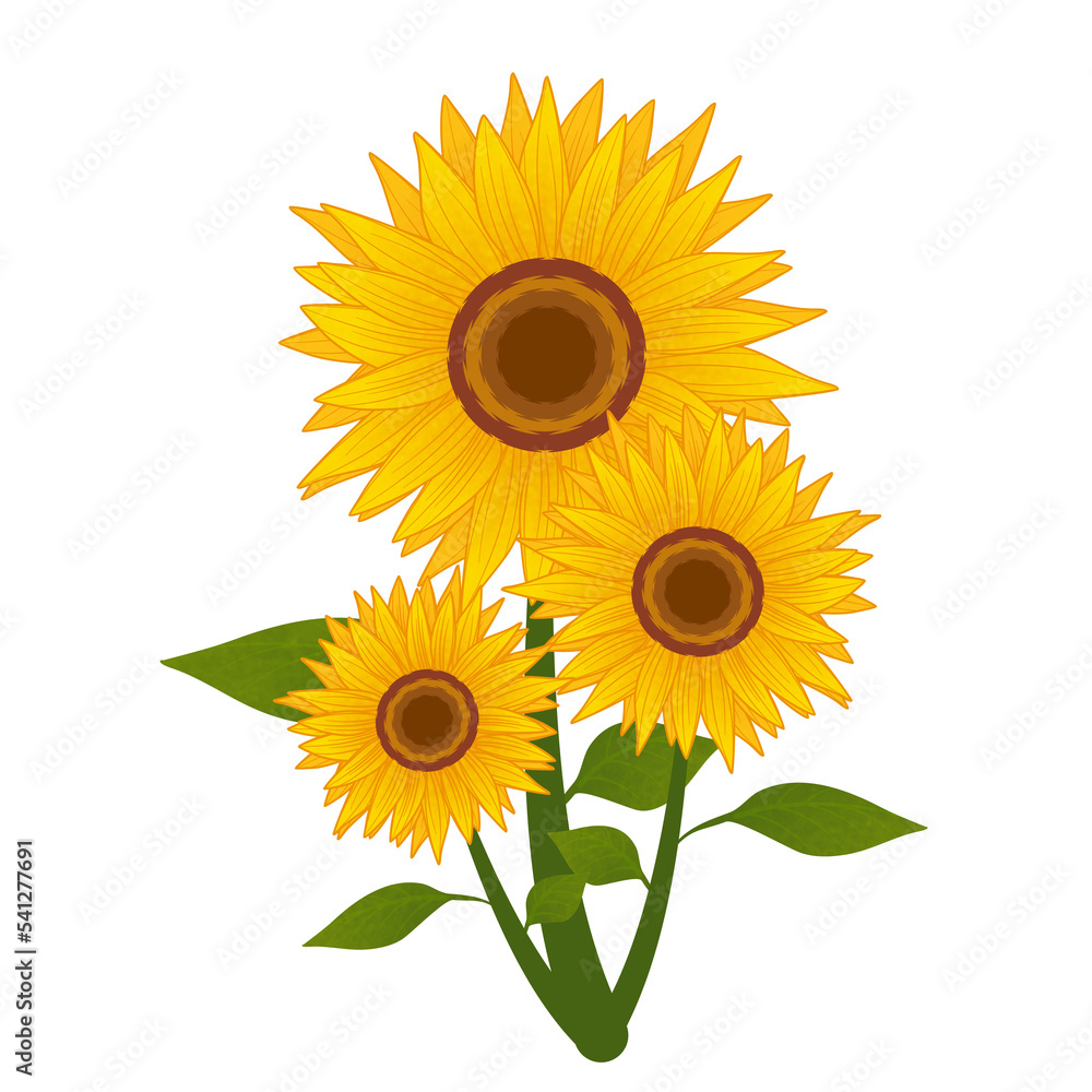 Sunflower Theme Png Format With Transparent Background Sunflower Theme Png Format With Transparent Background