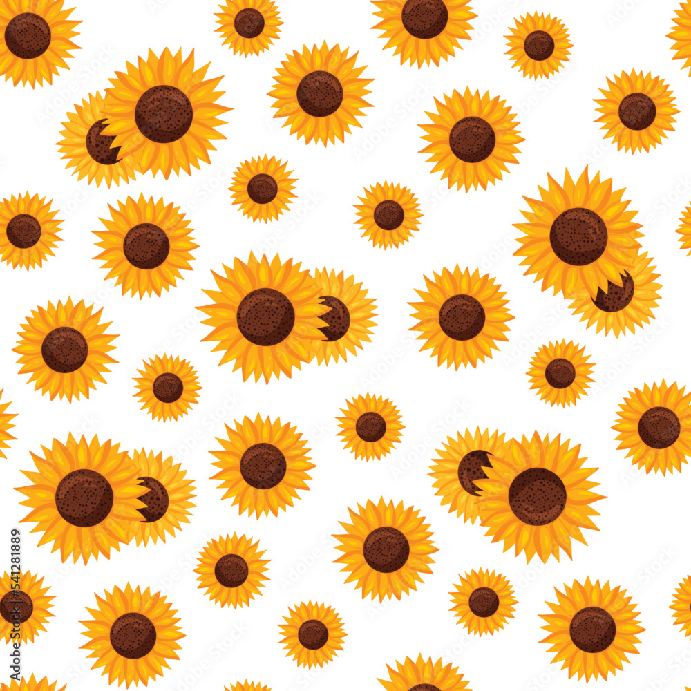 Seamless pattern of sunflower flowers white background. Seamless pattern of sunflower flowers white background.