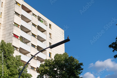 Paloma posada en farola con edificio de fondo