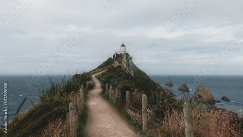 Nugget point lighthouse on the East coast of New Zealand photo