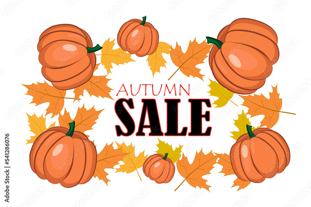 Fototapeta premium Autumn sale banner with maple leaves and pumpkins. Vector illustration