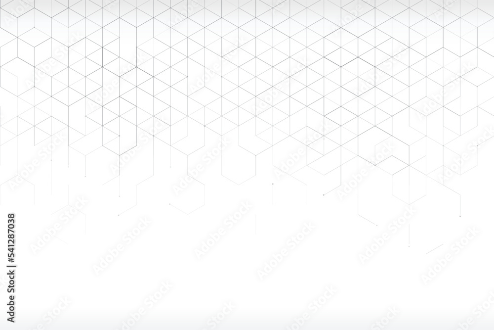 Hexgon Shape Line Background 002 Hexgon Shape Line Background 002