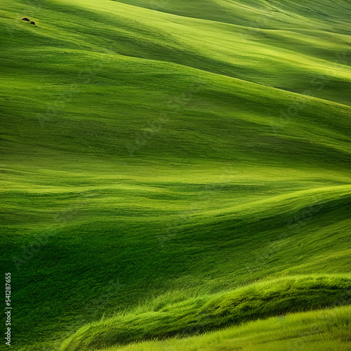 Rolling Green Hills and Grey Sky © Zulrah