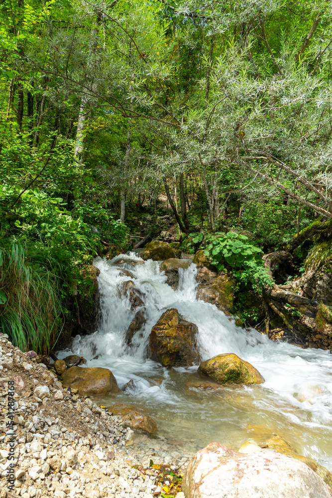 Fototapeta premium Small waterfall in the forest, Tara river, Montenegro. Vertical image.