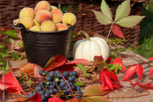 Jesienna dekoracja z dynią, winogronem i brzoskwiniami