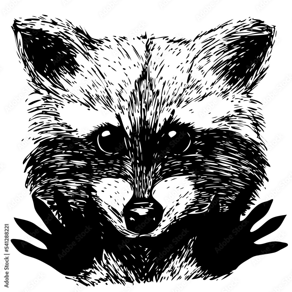 custom made wallpaper toronto digitalHand drawn Illustration of raccoon. Isolated doodle illustration