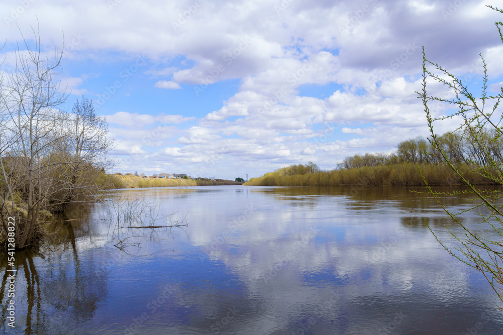 Fototapeta premium Spring landscape with trees by the river and picturesque cloudy sky. Early spring