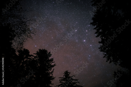 stars and milky way in the sky