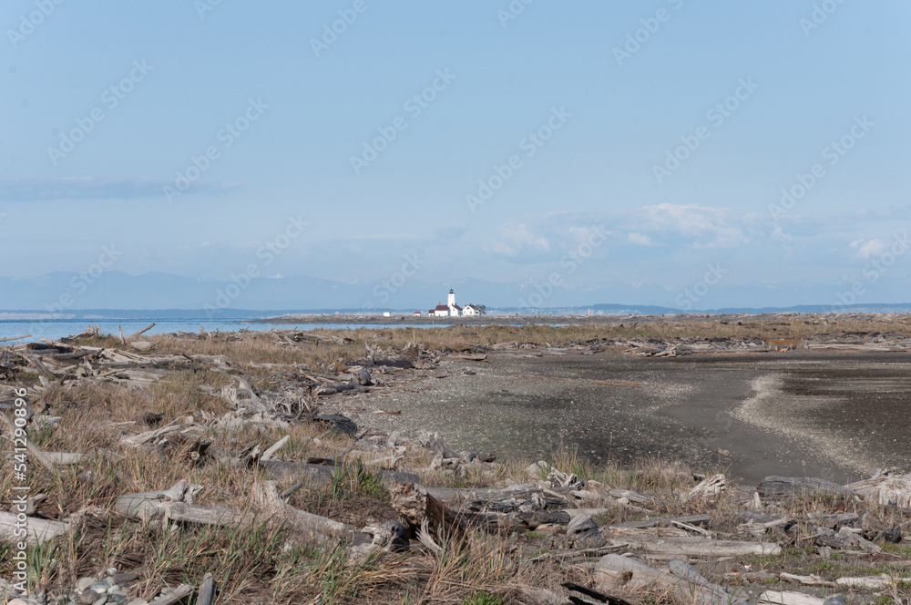 Dried wooden stems and New Dungeness Light Station at Dungeness Spit, Olympic Peninsula, USA Dried wooden stems and New Dungeness Light Station at Dungeness Spit, Olympic Peninsula, USA