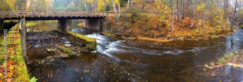 autumn bridge