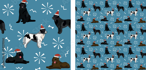 Seamless Newfoundland dog pattern, holiday texture. Square format, t-shirt, poster, packaging, textile, socks, textile, fabric, decoration, wrapping paper. Trendy hand-drawn newfie dog wallpaper.
