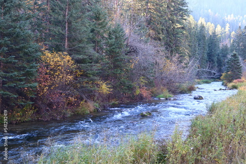 river in autumn