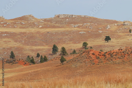 landscape in the desert